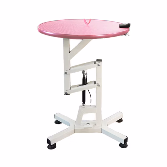 Veterinary Vet Hospital Grooming Table Adjustable Small Pets Metal Spray Pet Grooming Table for Sale Dogs