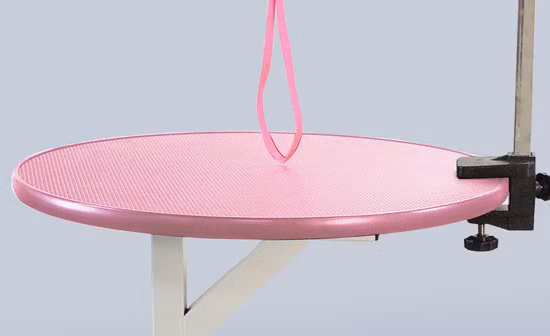 Veterinary Vet Hospital Grooming Table Adjustable Small Pets Metal Spray Pet Grooming Table for Sale Dogs
