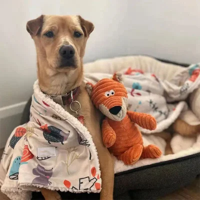 低 MOQ 繁栄ペット毛布ソフトぬいぐるみ保護ソファ椅子ベッド洗濯機で洗える犬毛布