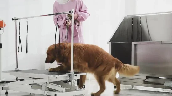 ステンレス鋼動物ペット犬グルーミング電気その他の獣医器具昇降テーブル